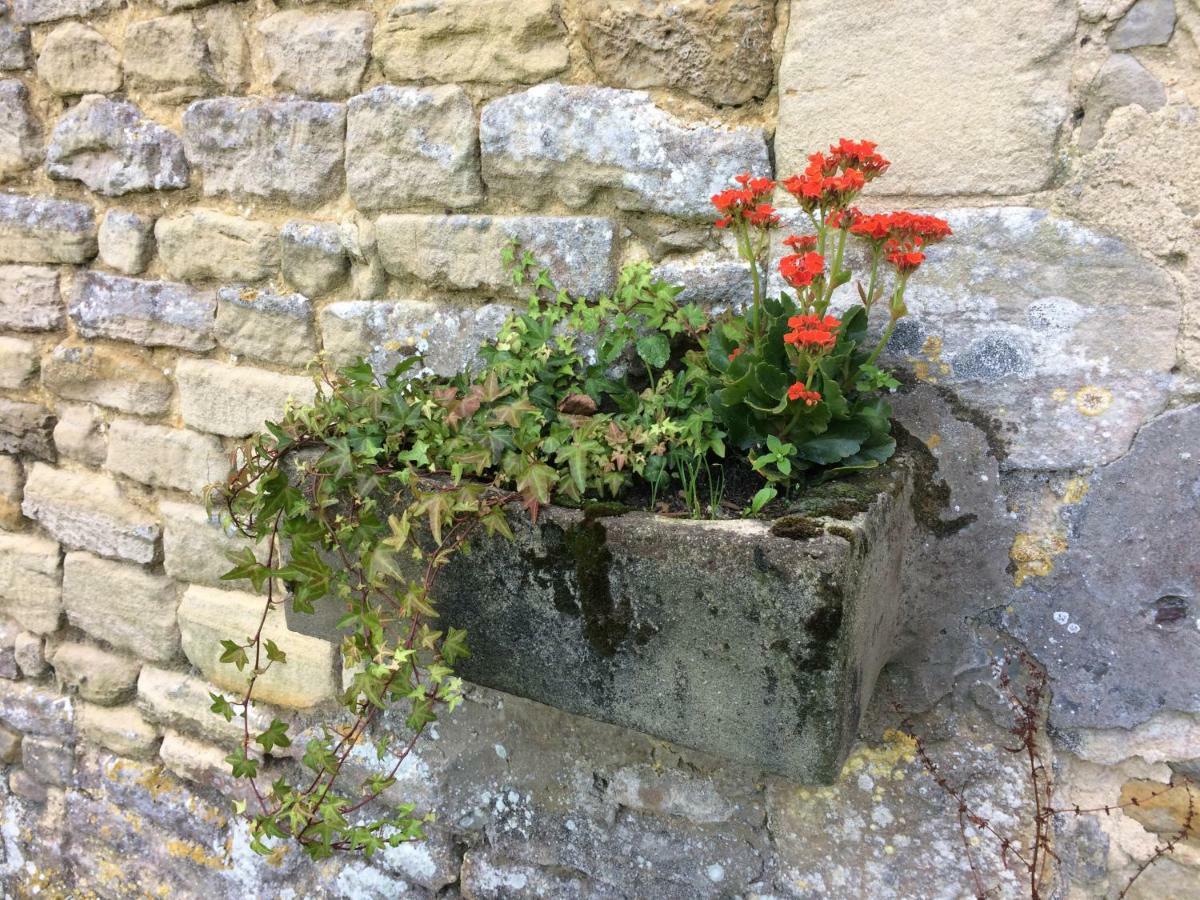 Le Manoir Des Doyens Loft - Sleeps 8 - Breakfast Included! Bed & Breakfast Bayeux Exterior photo